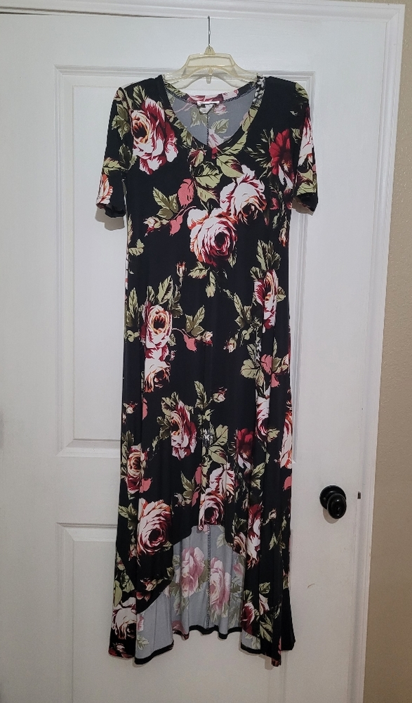 Zig Zag Stripe high low floral dress